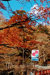 １０日ほど前に...