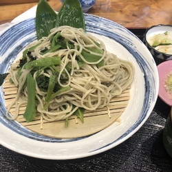 宛もなくぷらー...