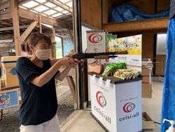 今日はセルシオ...