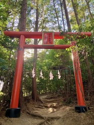 平日にしては、...