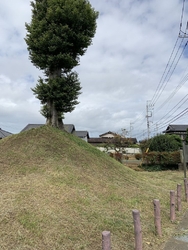壬生町の県道1...