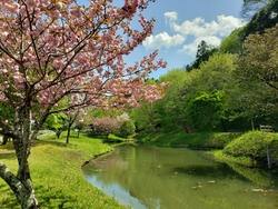 川崎城跡公園を...