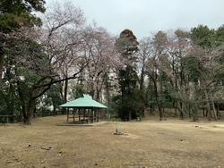 3月17日に訪...