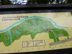 春に来園した時...