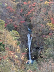 紅葉を見にこち...