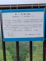 近くに行ったの...