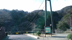 一度渡ってみた...