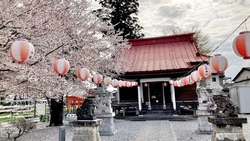 桜が満開の頃、...