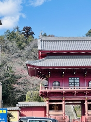 散歩がてら県庁...