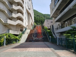 サイクリングを...