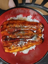 土用の丑の日に...