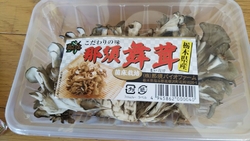 今日も、佐野市...