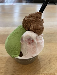 「生イチゴミル...