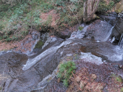 ハイキング中に...