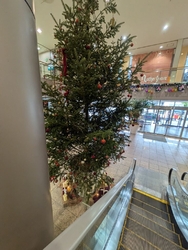 イタリアントマ...