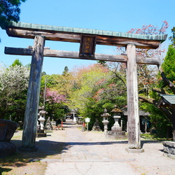 母の誘いで、日...