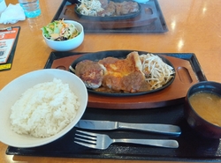 気になっていた...