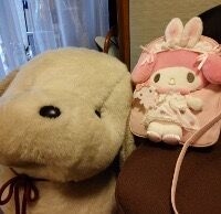 マッサージは外...