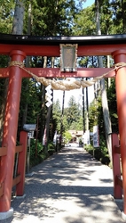 新緑が美しい季...