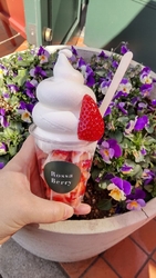 ろまんちっく村...