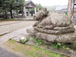 運転の休憩で立...