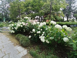 天気が良かった...