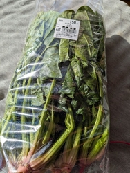 野菜を見に行き...