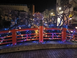 うつのみやイル...