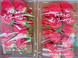 いちごを購入す...