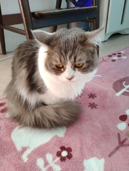お昼頃予約なし...
