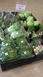 葉物野菜をたく...