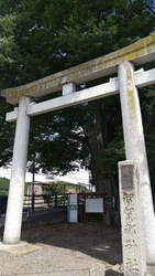 大きな大きな、...
