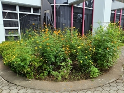 借りたCDを返...