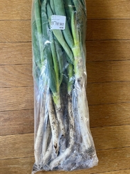 宇都宮に行った...