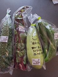 暑くなる前に行...
