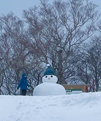 東京にも雪が降...