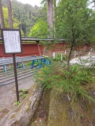 神苑へ伺いまし...