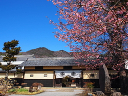 この日は「ひな...
