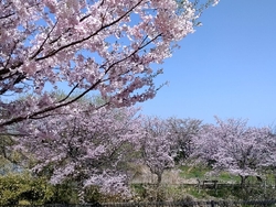 のんびりと釣り...