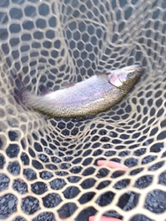 今回の釣行締め...