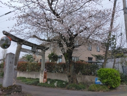 磯山神社の鳥居...