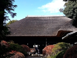 茅葺きの屋根も...