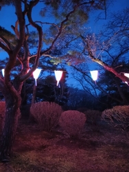 黒磯公園に散歩...