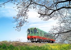 そろそろ桜と菜...