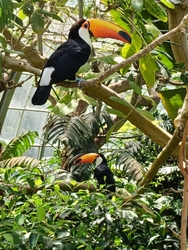 広い公園を散歩...