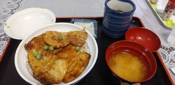 気になっていた...