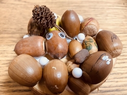 リニューアル記...