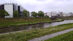 今日は、ウォー...