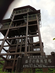 夕方行ってきま...