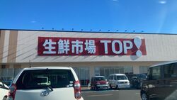 まだ新しいお店...